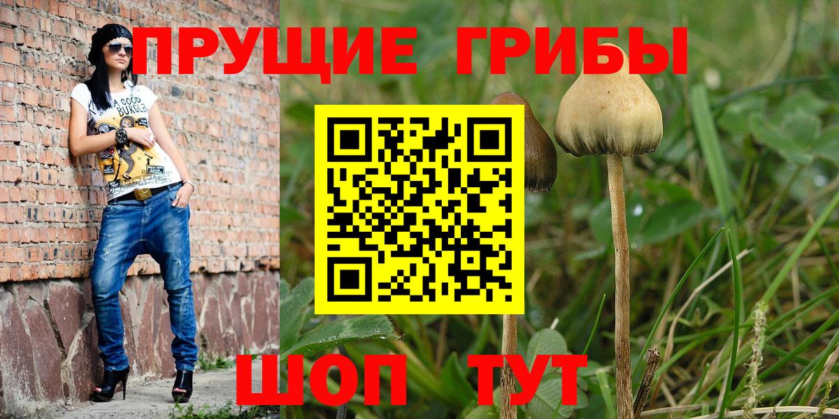 Псилоцибиновые грибы Psilocybine cubensis  Вход с VPN  Борзя 