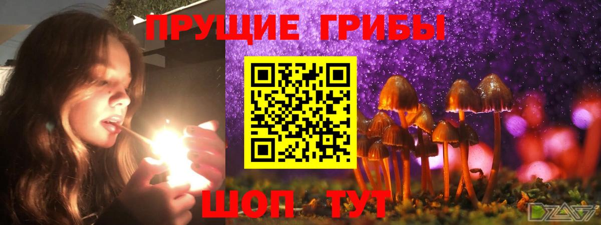 Псилоцибиновые грибы мицелий Борзя